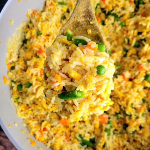 homemade diy dog food on a wooden spoon