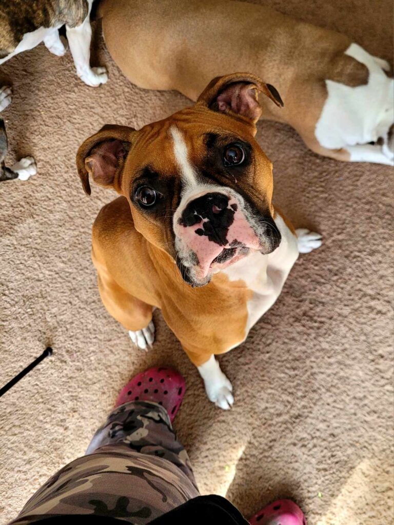 Quality Control Supervisors