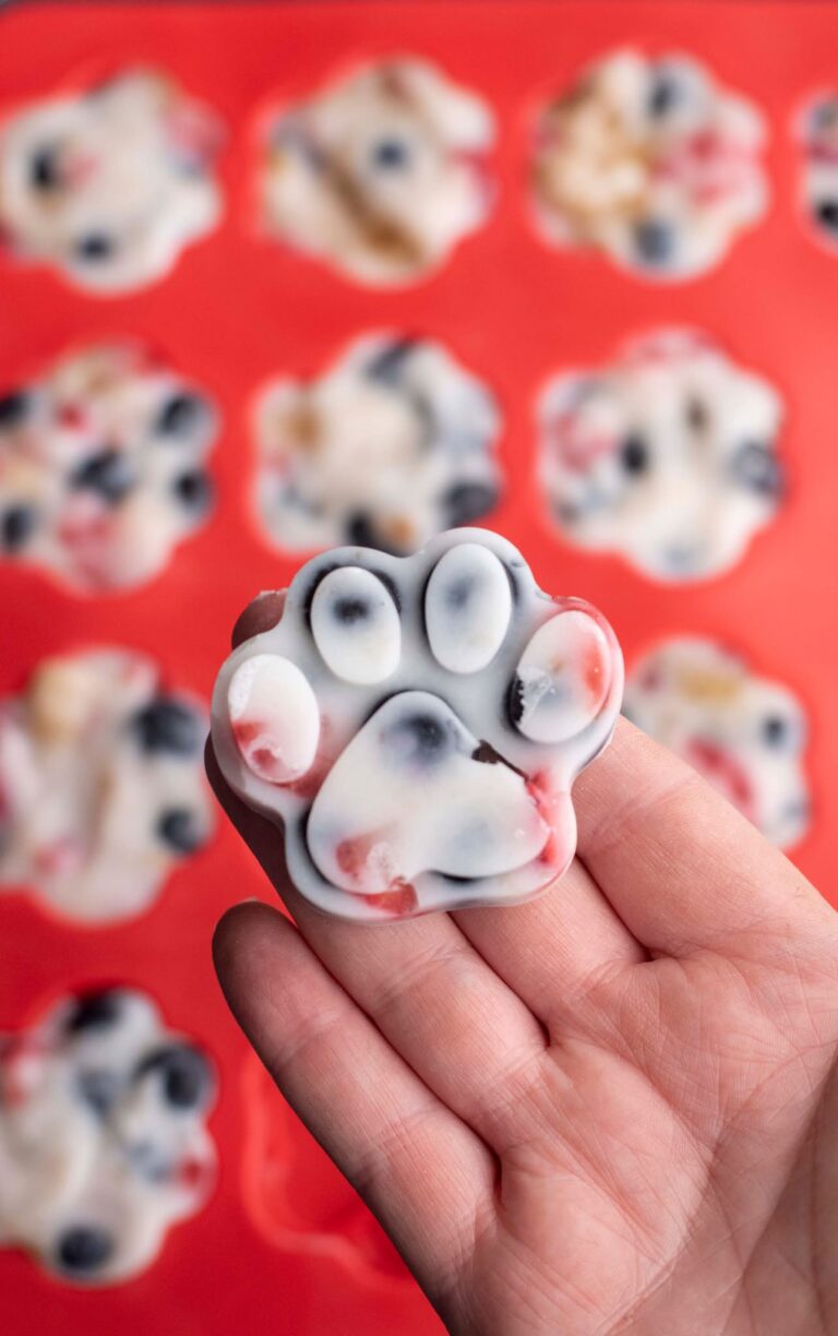 Frozen Yogurt Dog Treats