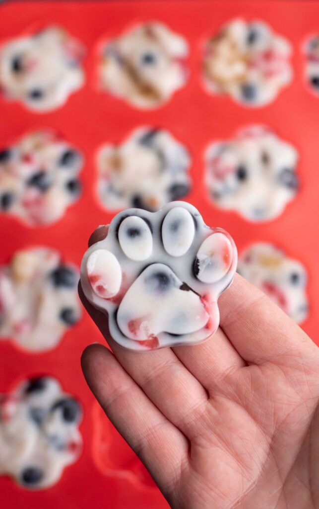 frozen yogurt dog treats in the shape of paw print