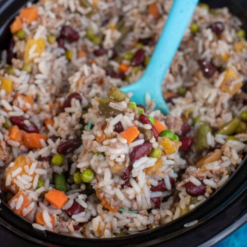 Spoonful of homemade crockpot dog food