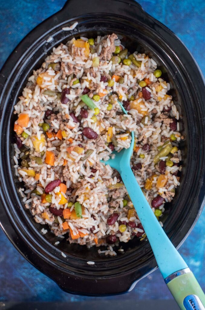 home cooked dog food on a serving spoon