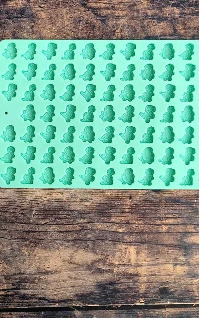 dinosaur silicone treat mold