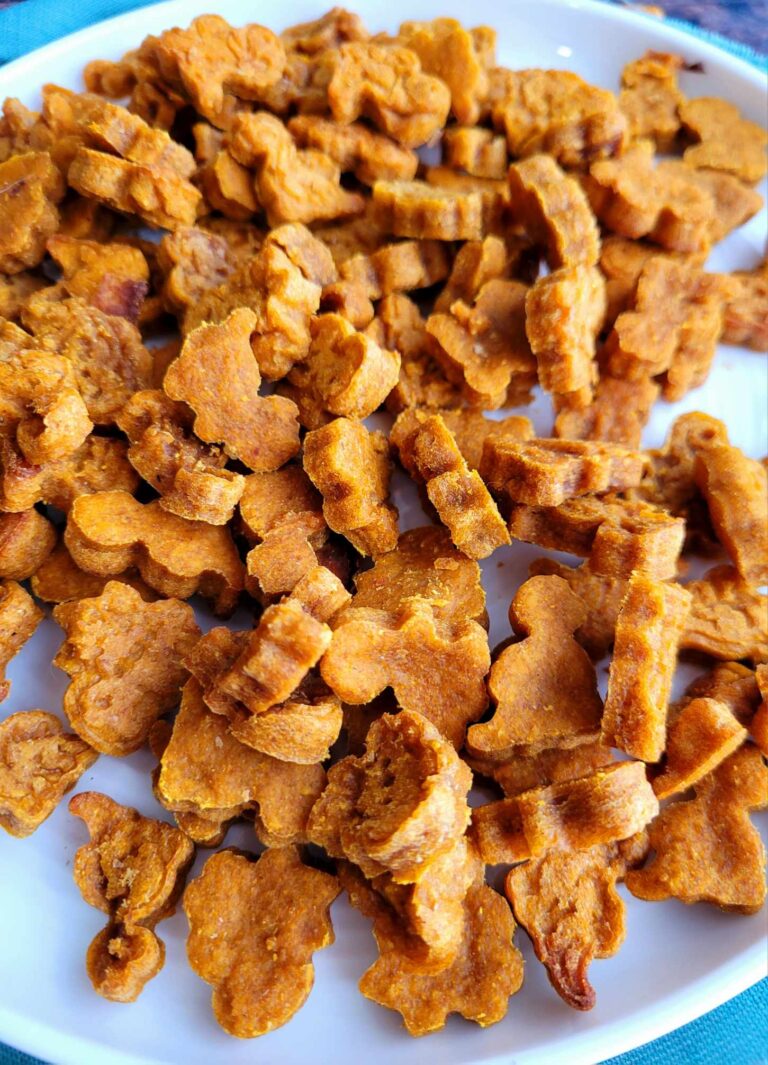 Homemade Pumpkin Dog Training Treats