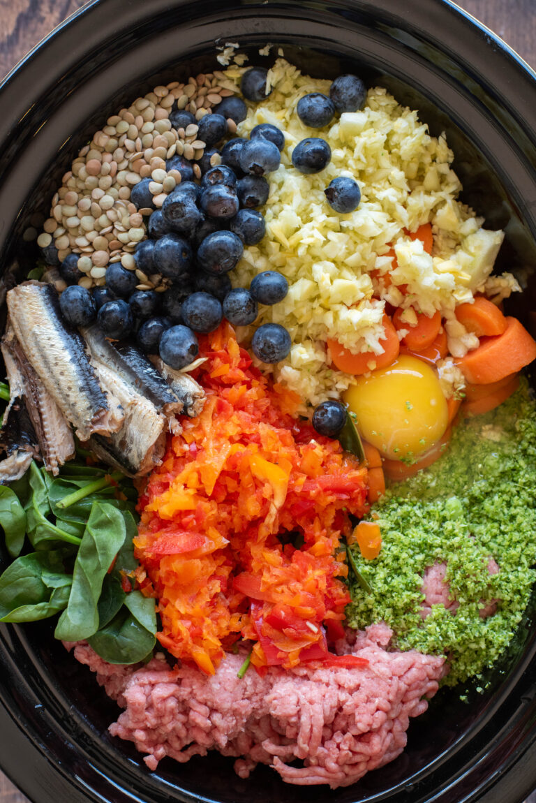 Raw ingredients for homemade dog food – ground beef, liver, sardines, and chopped vegetables arranged in a crockpot