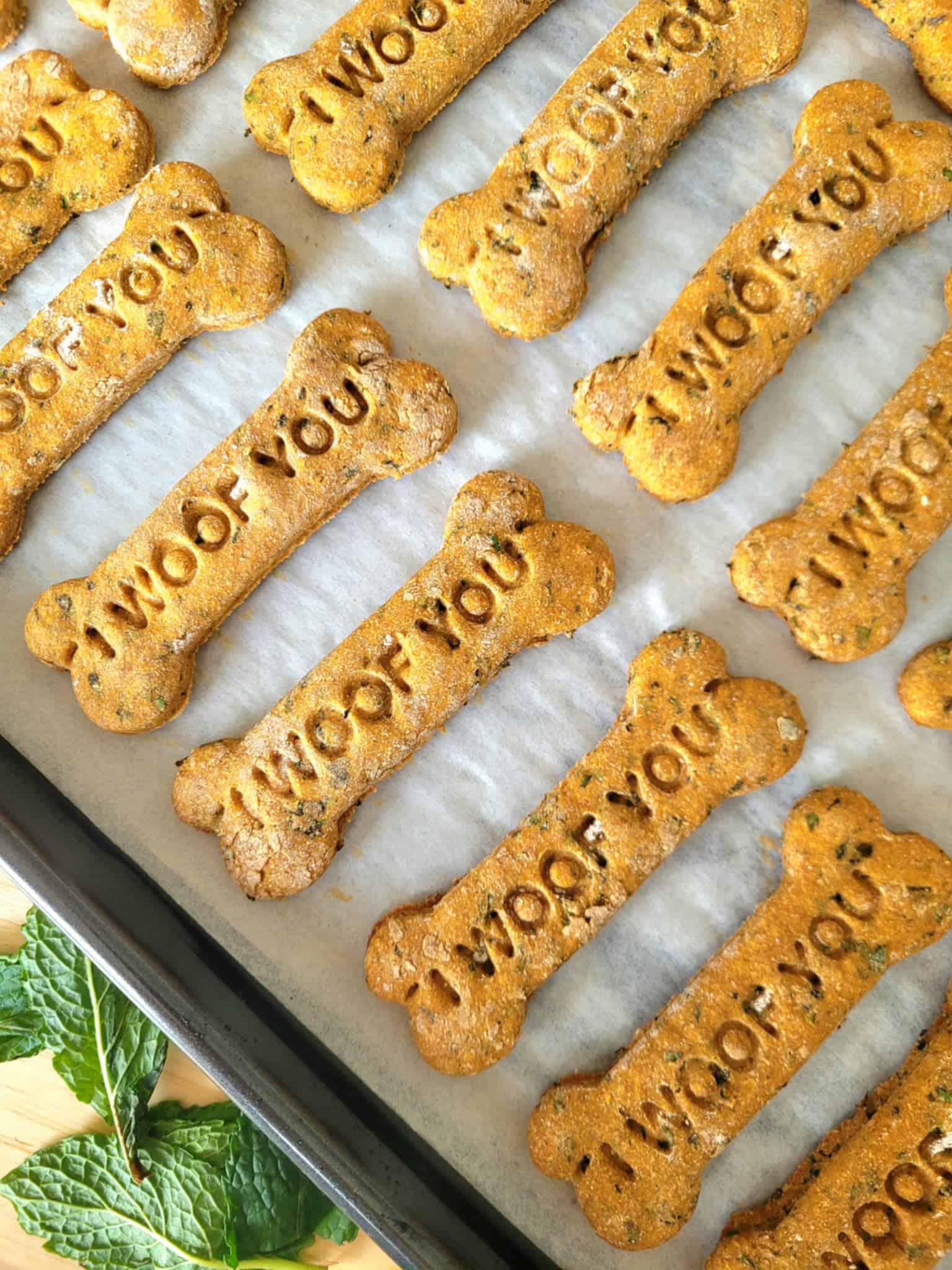 Homemade Mint Dog Treats to freshen your pups breath! Soft, chewy, and made with fresh herbs, these minty dog bones are perfect for senior dogs and the best DIY doggy breath fresheners your dog will love.