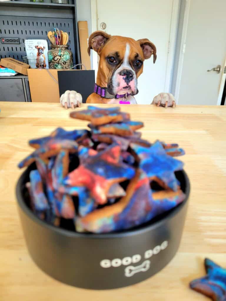 Jessie supervising the making of her star doggie treats