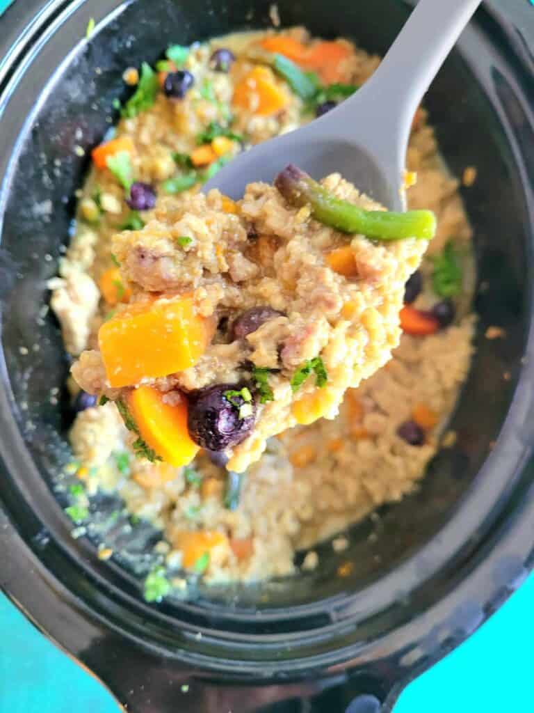 slow cooker dog food on a spoon