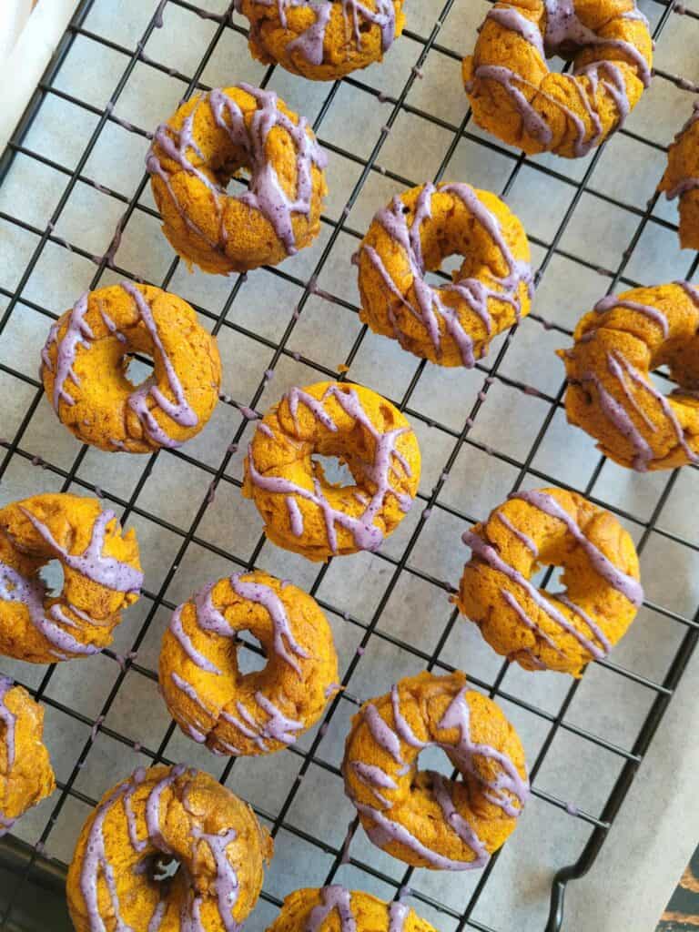 baked pumpkin dog donuts with blueberry drizzle