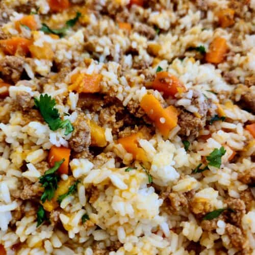 Best Homemade Dog Food Recipe for Senior Pup Upset Tummies .. a gentle, easy-to-digest stew made with turkey, rice, pumpkin and sweet potato. The perfect recipe for what to feed a dog with an upset stomach or loose stool.