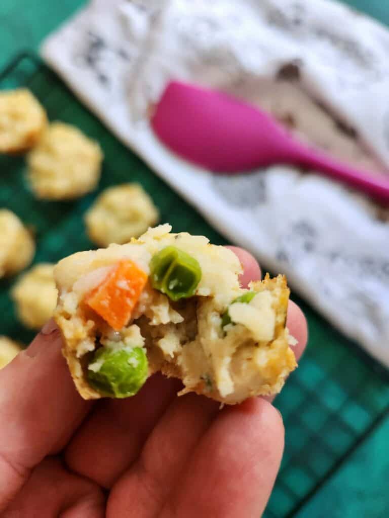 Soft homemade dog treats made with turkey and veggies