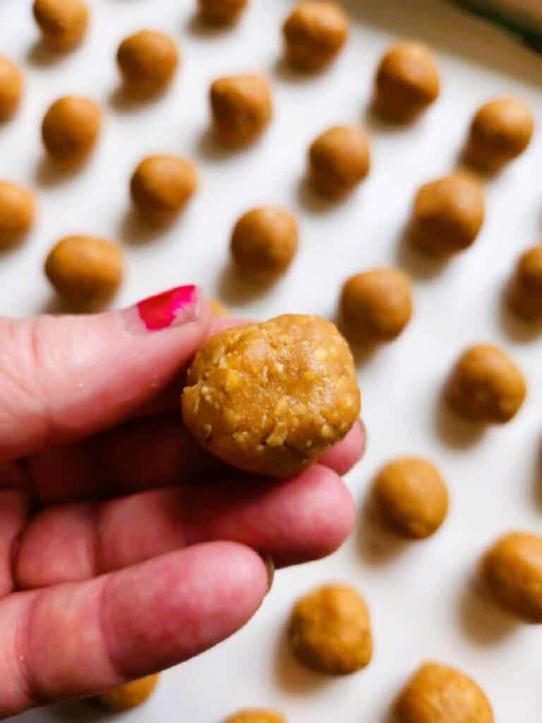 finished no bake dog pill pockets recipe ready for refrigerator storage