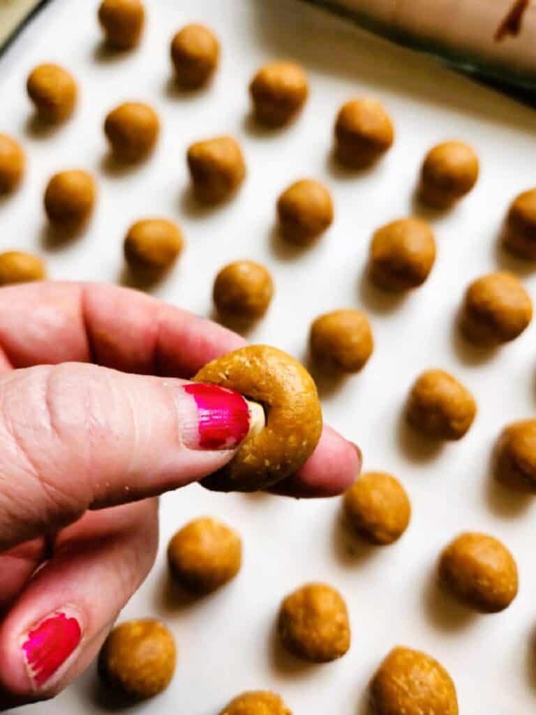 homemade dog treats for medication stored as soft peanut butter pill pockets