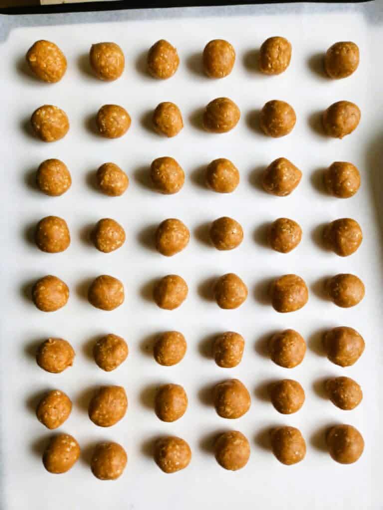 no bake peanut butter dog treat dough rolled into pill pocket shapes