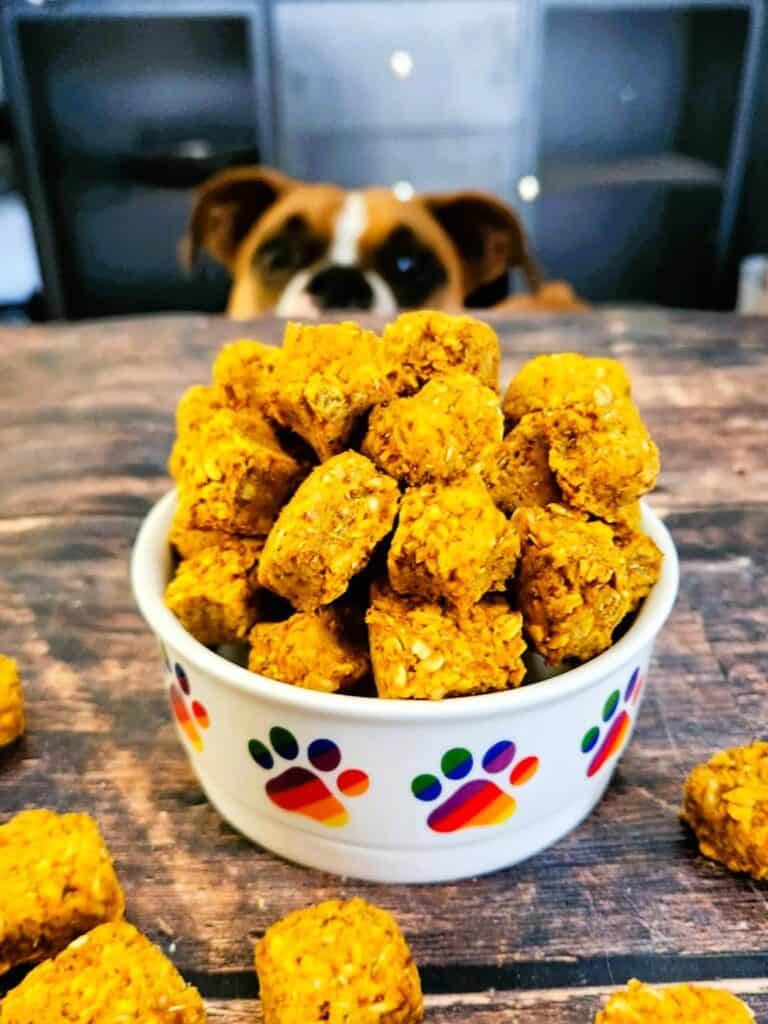 official bark belly bites quality control officer